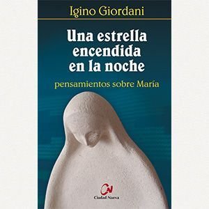 Una estrella encendida en la noche